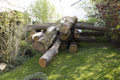 Click to see it big Impression aus dem Atelier